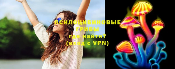 МДПВ Абаза